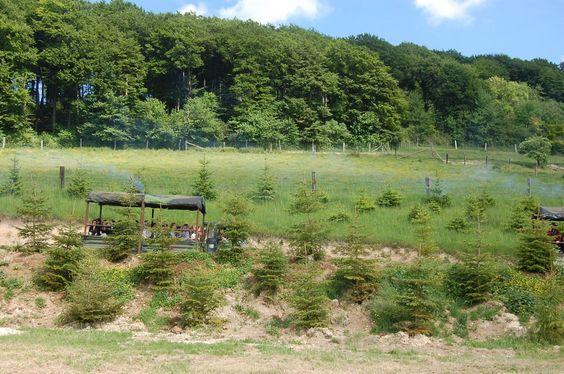 DSC_0036 [50%] [50%].JPG